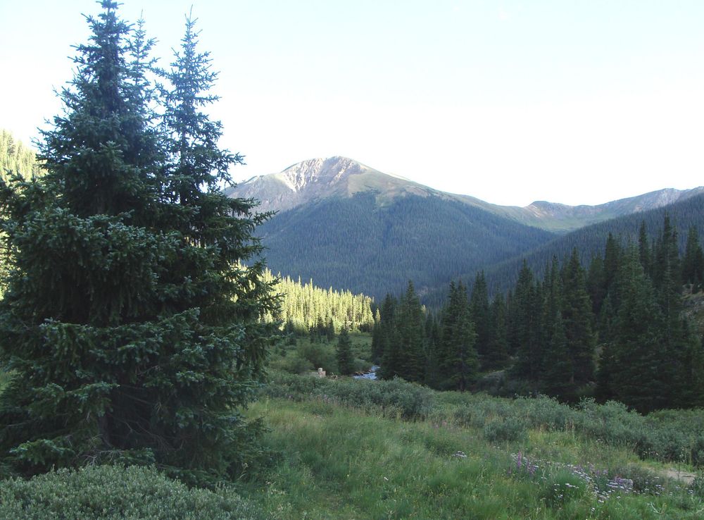 File:San Isabel Natl Forest Nima.JPG - Wikipedia