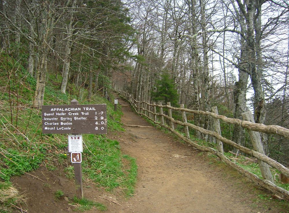 File:Appalachian Trail at Newfound Gap.JPG - Wikipedia