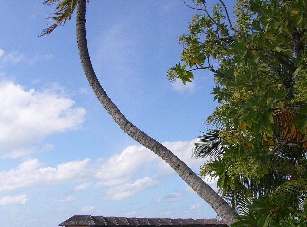 File:Veligandu Island resort 2010.JPG - Wikimedia Commons