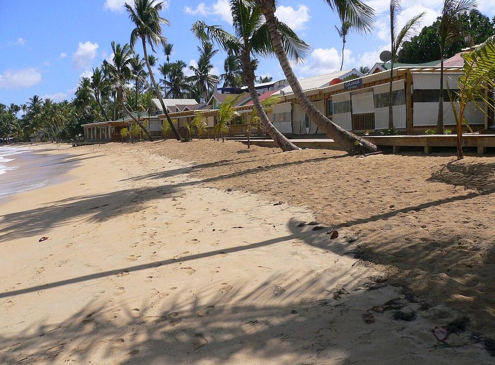 File:Las Terrenas Nuevo Pueblo de los Pescadores.JPG - Wikimedia Commons