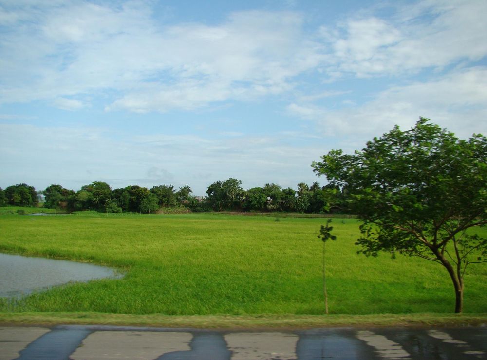 File:Chalan Beel Natore Bangladesh (12).JPG - Wikimedia Commons
