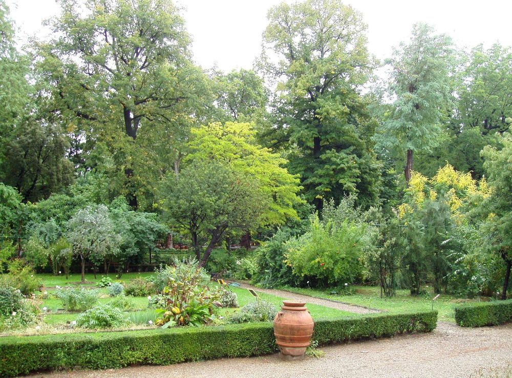 File:Orto Botanico di Firenze - general view.JPG - Wikimedia Commons