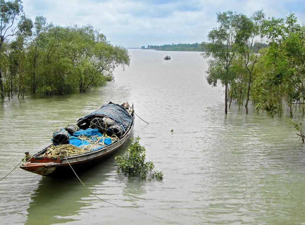 File:Kaikhali Sundarbans 15-09-2011 (2).JPG - Wikimedia Commons