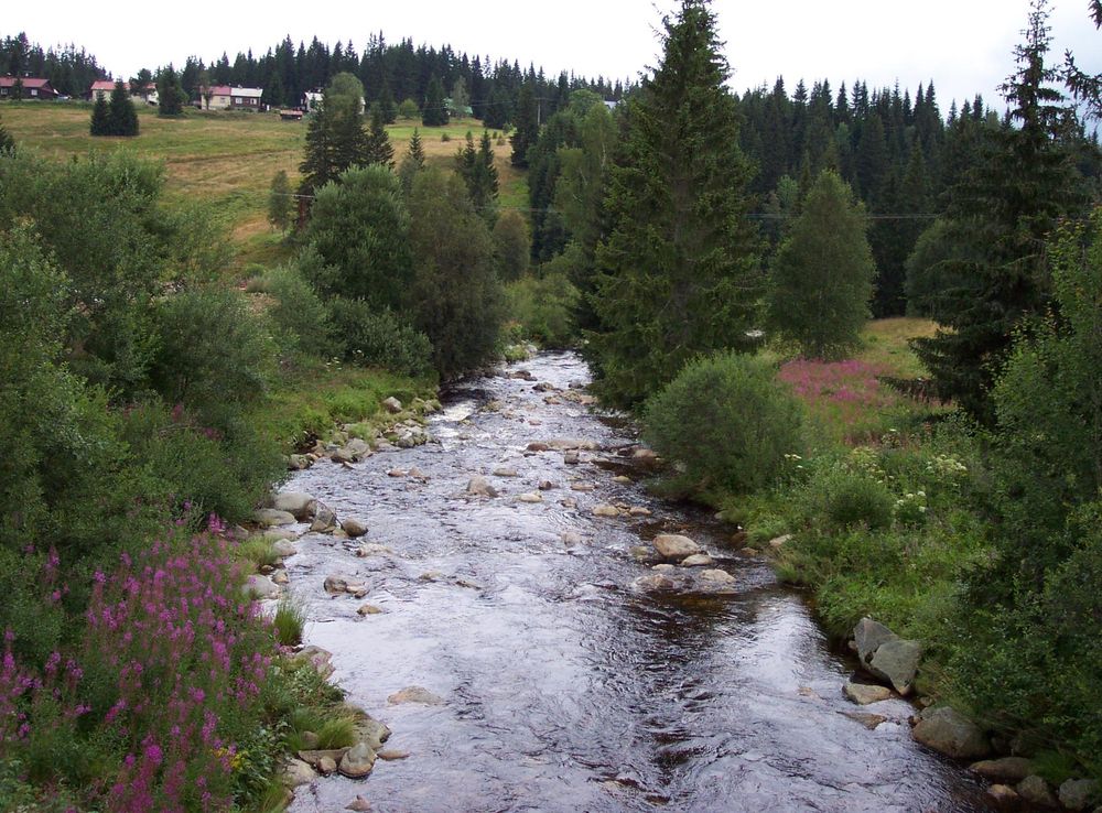 Soubor:Modrava, řeka.JPG – Wikipedie