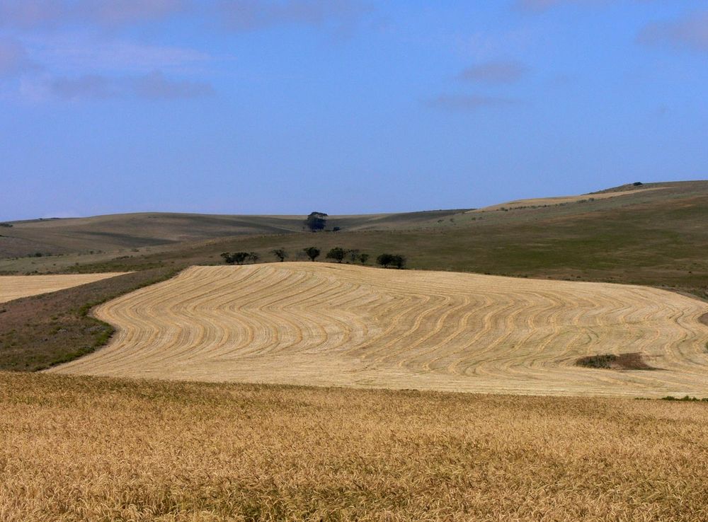 File:Overberg-1.JPG - Wikimedia Commons
