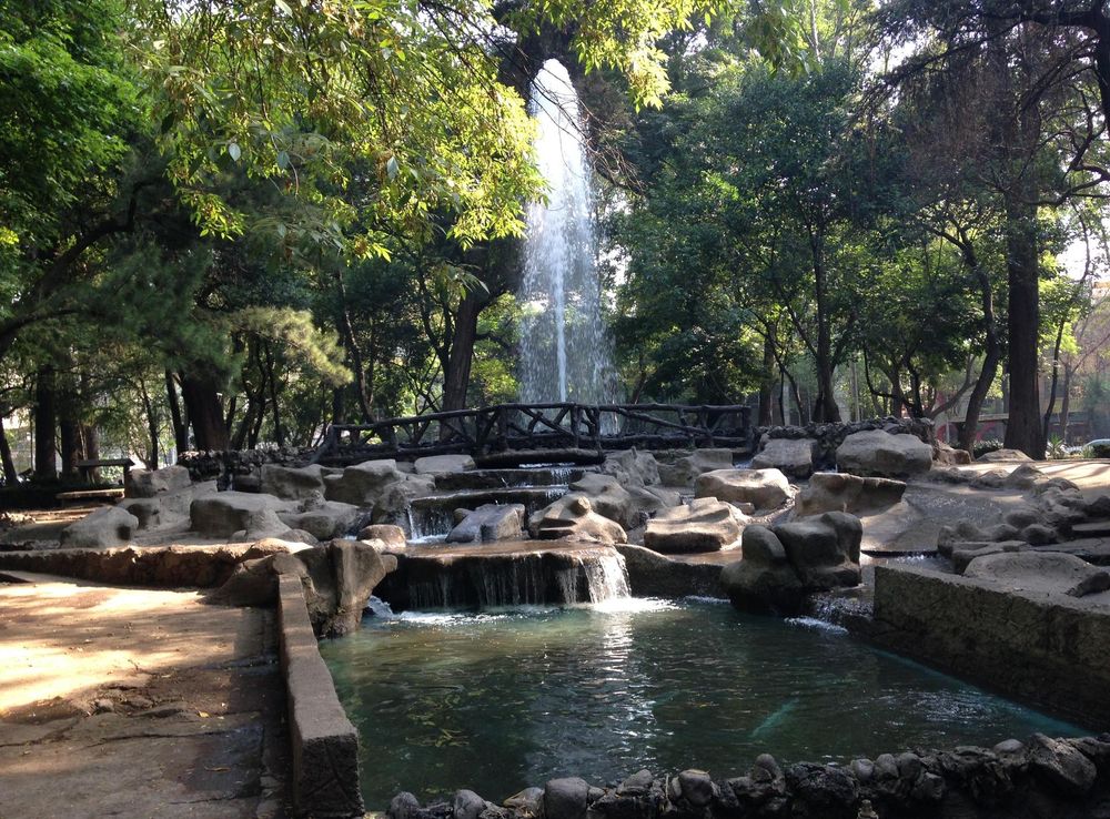 File:Parque México.JPG - Wikimedia Commons