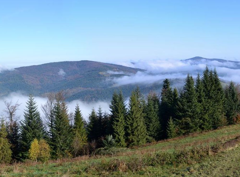 Gorce Mountains - Wikipedia