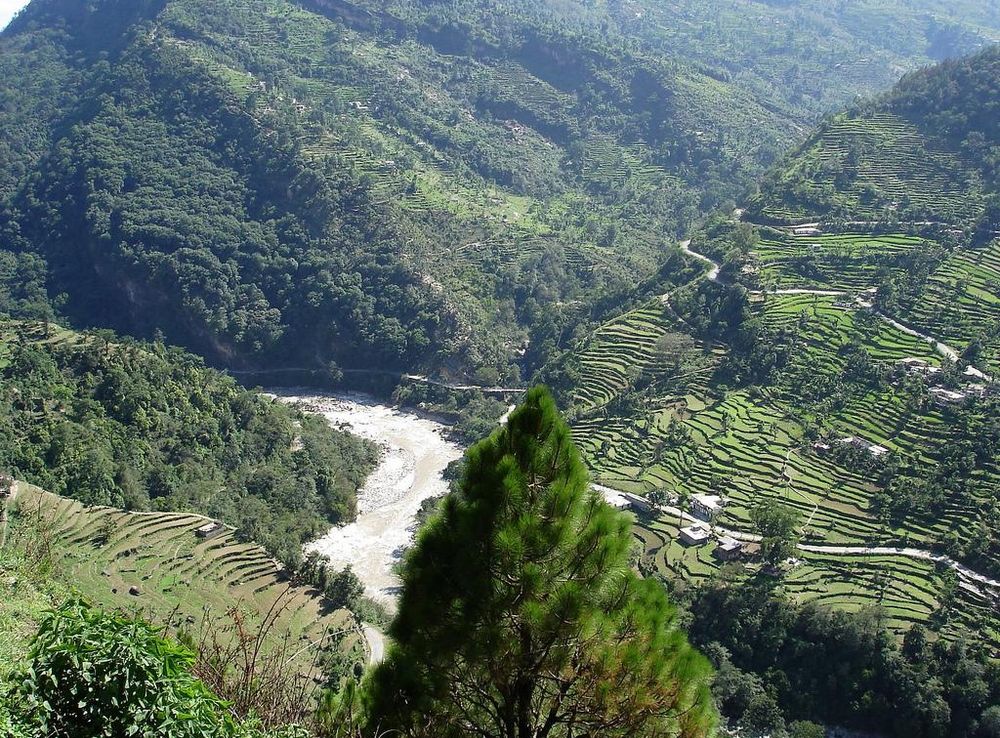 File:Chopta, Uttarakhand.jpg - Wikimedia Commons