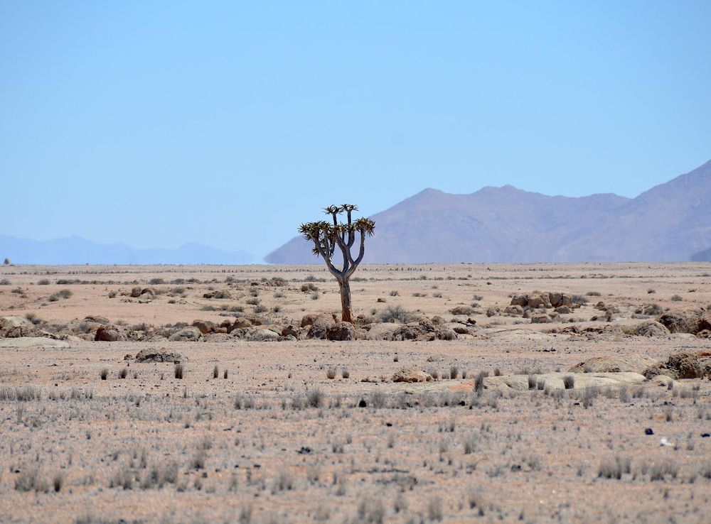 File:Namib-Naukluft National Park in Namibia.jpg - Wikimedia Commons