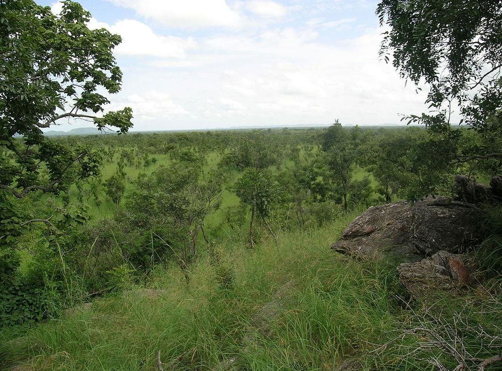 File:Pendjari.JPG - Wikimedia Commons