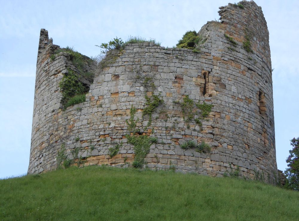 File:Hawarden Castle Estate (13).JPG - Wikimedia Commons