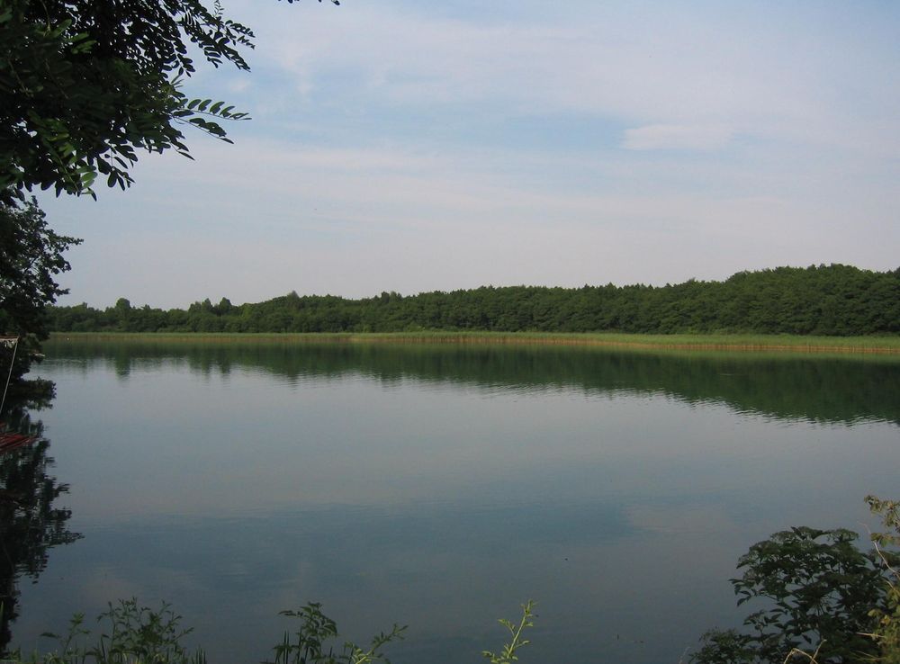 File:Lake de Feldberg Breiter Luzinsee.JPG - Wikipedia