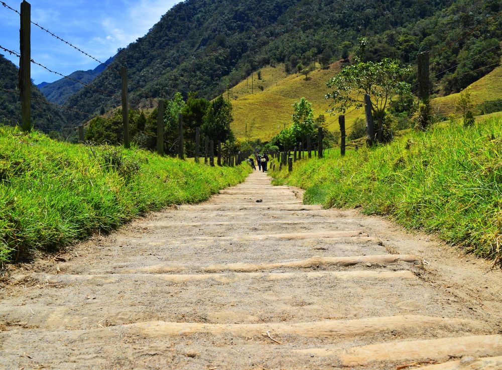 Free Images : path, walking, trail, countryside, hill, perspective, valley,  mountain range, dirt road, walk, green, soil, infinity, agriculture, ridge,  mountains, forests, plateau, rural area, mountain pass, the road, cocora,  mountainous landforms