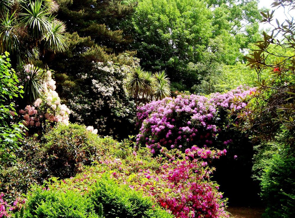 File:Botanic garden UACh.JPG - Wikimedia Commons