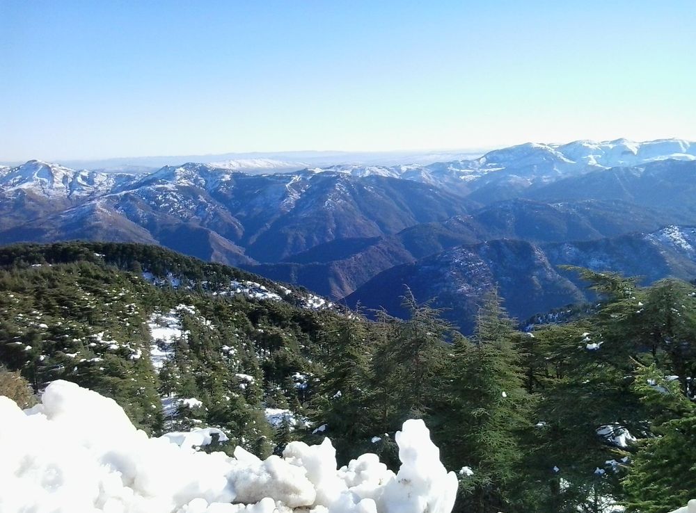 File:Montagne de Chréa,.jpg - Wikipedia