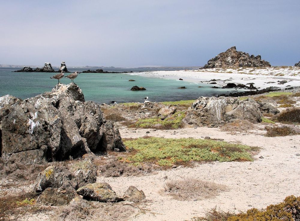 File:Isla Damas.jpg - Wikimedia Commons