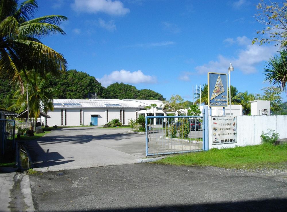 File:Palau International Coral Reef Center 1.JPG - Wikimedia Commons