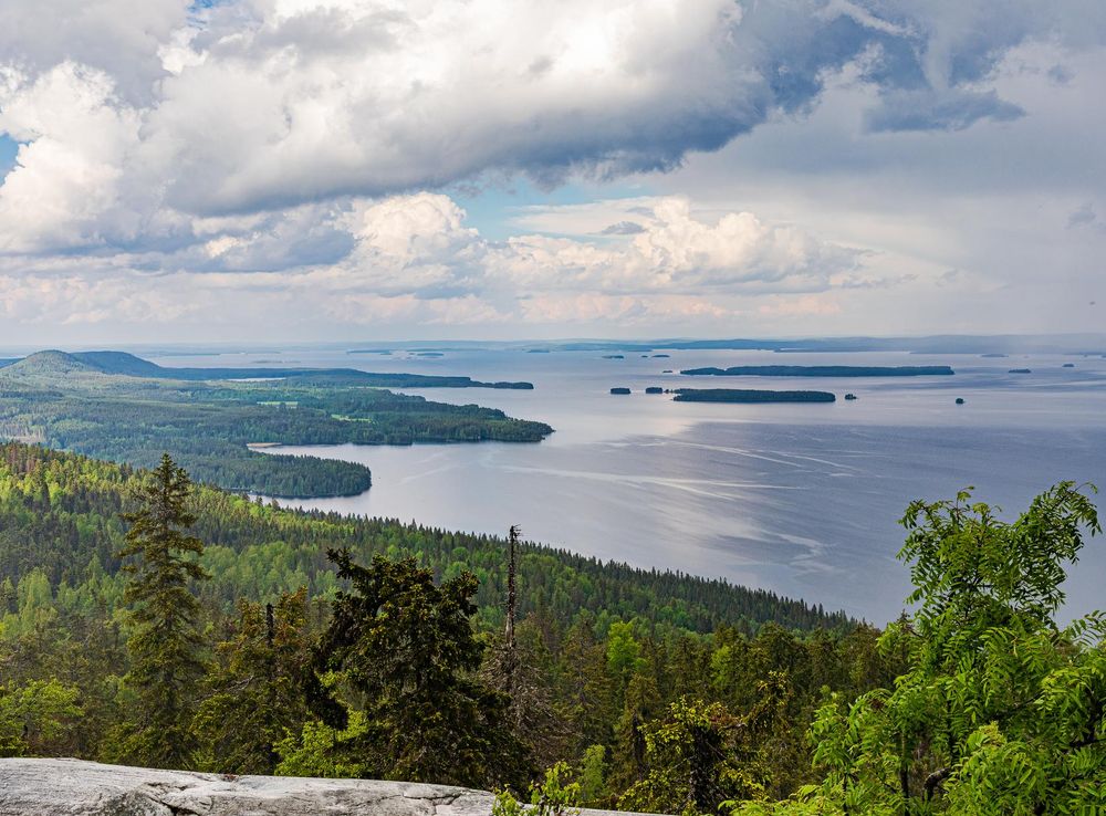 File:Koli National Park, Finland (52160386319).jpg - Wikimedia Commons