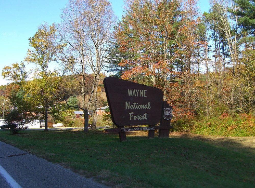 File:WNF CIMG0448.JPG - Wikipedia