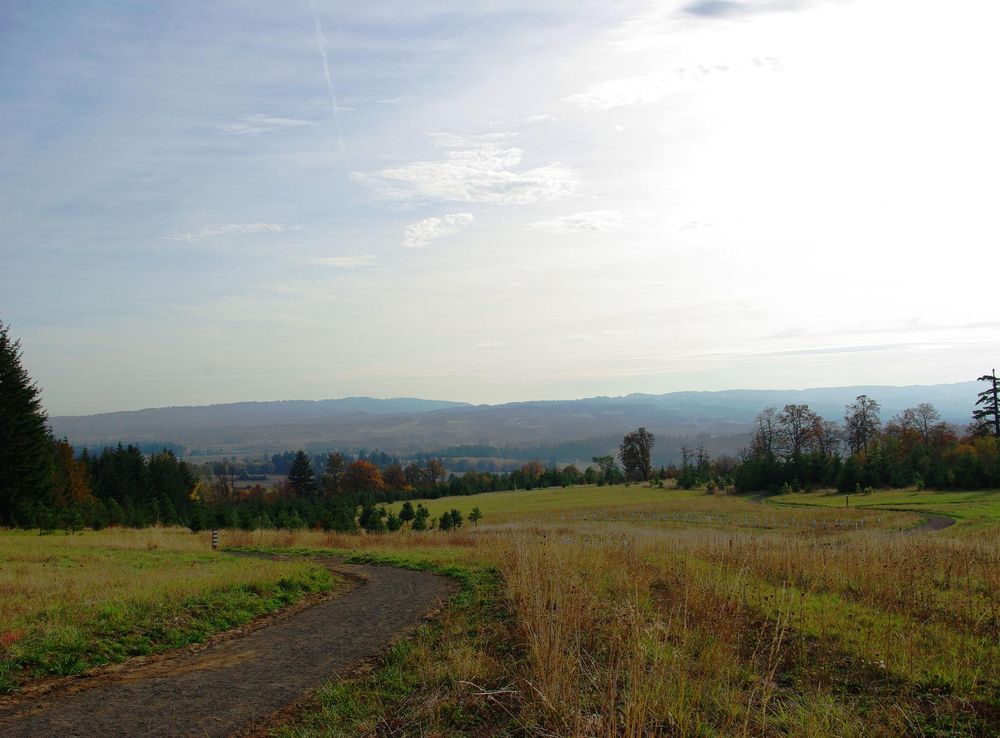 File:Cooper Mountain Nature Park south slope of Cooper Mountain.JPG -  Wikimedia Commons