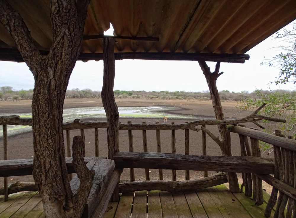 File:Hlane-Basic-Hide-At-Hippo-Pool.JPG - Wikipedia