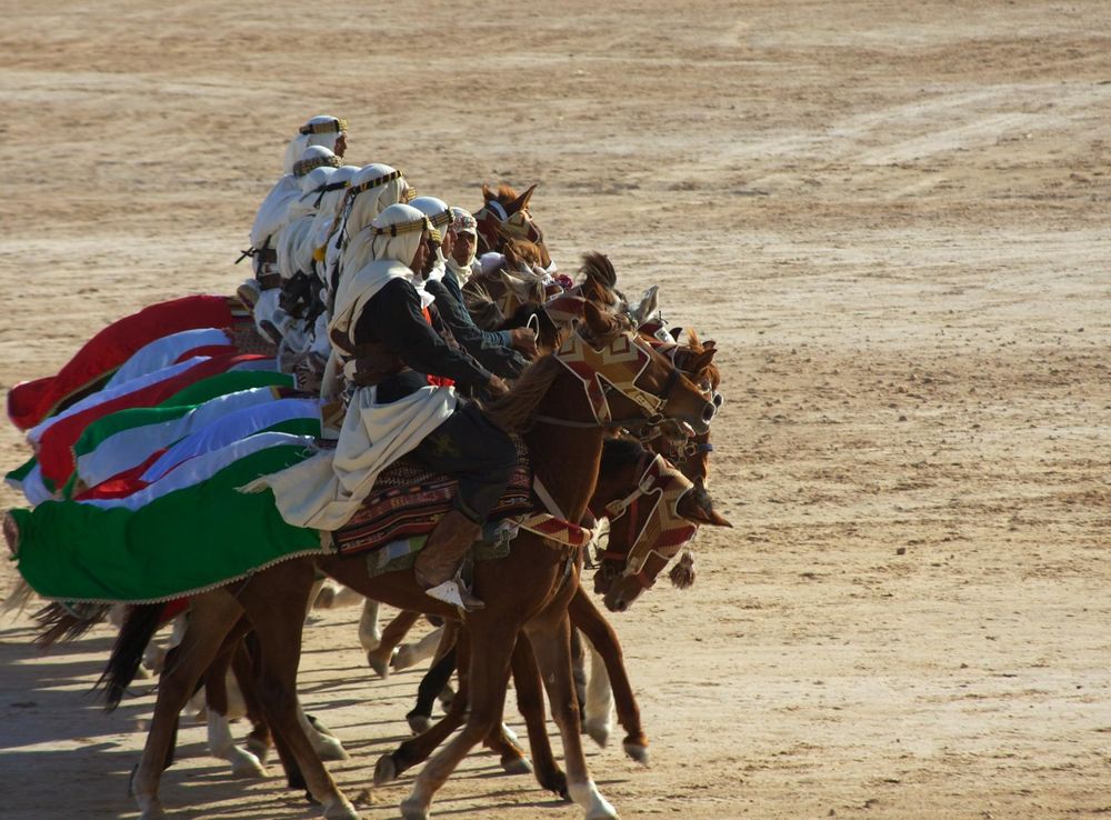 File:Tunisia 10-12 - 083 - Douz and the Festival of the Sahara  (6609300263).jpg - Wikimedia Commons