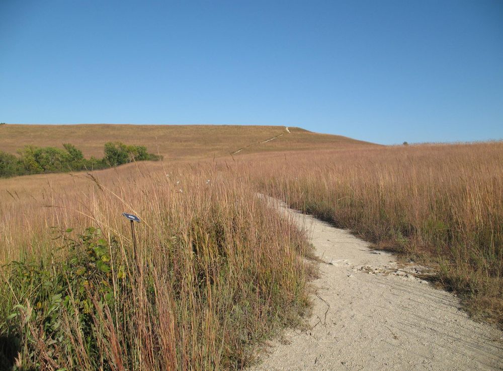 Flint Hills - Wikipedia
