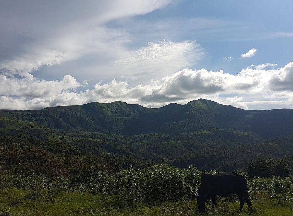 File:The Mambilla Plateau, Nigeria 01.jpg - Wikimedia Commons