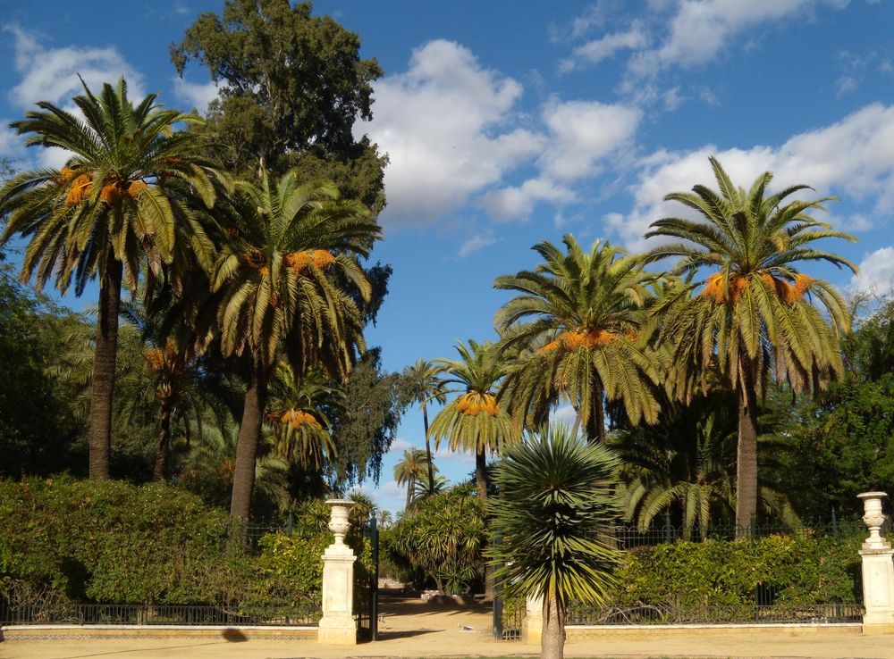 File:Jardines de Murillo 1.JPG - Wikimedia Commons