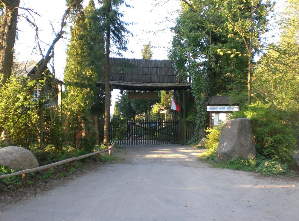 File:Golëbie (bòtaniczny ògród).JPG - Wikimedia Commons