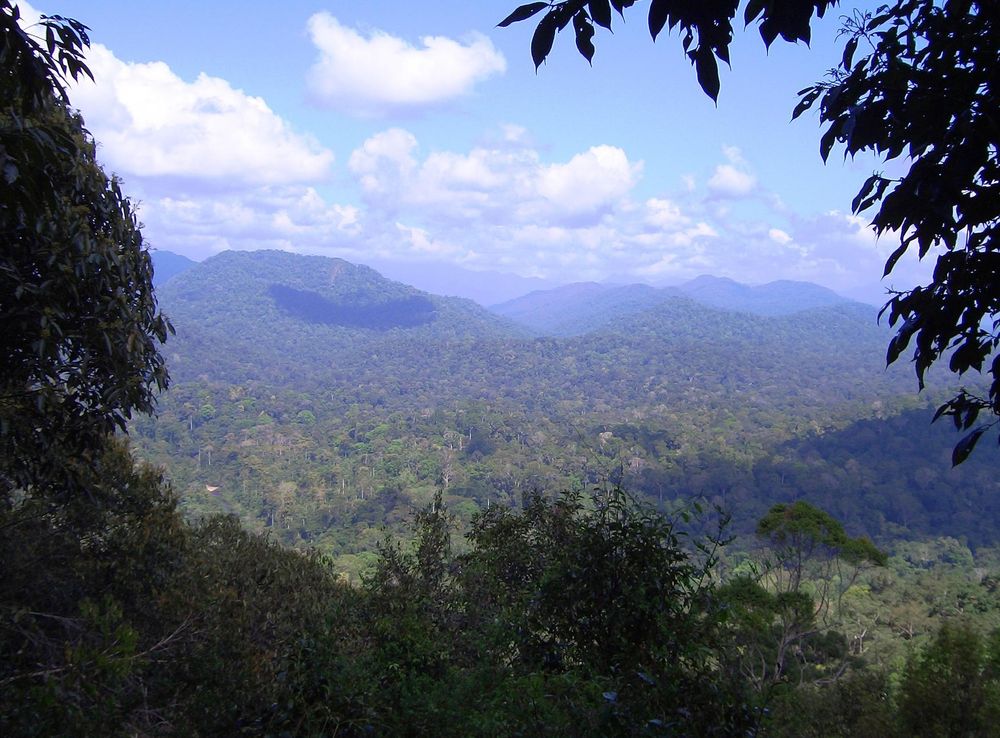File:Teresek Hill - Taman Negara National Park - Malaysia.JPG - Wikipedia