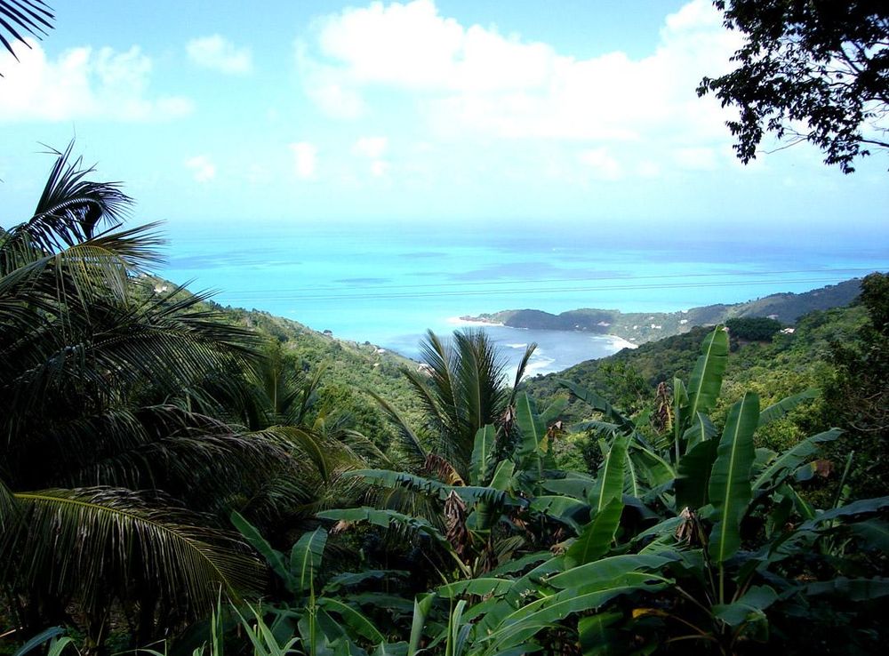 File:Tortola.jpg - Wikipedia