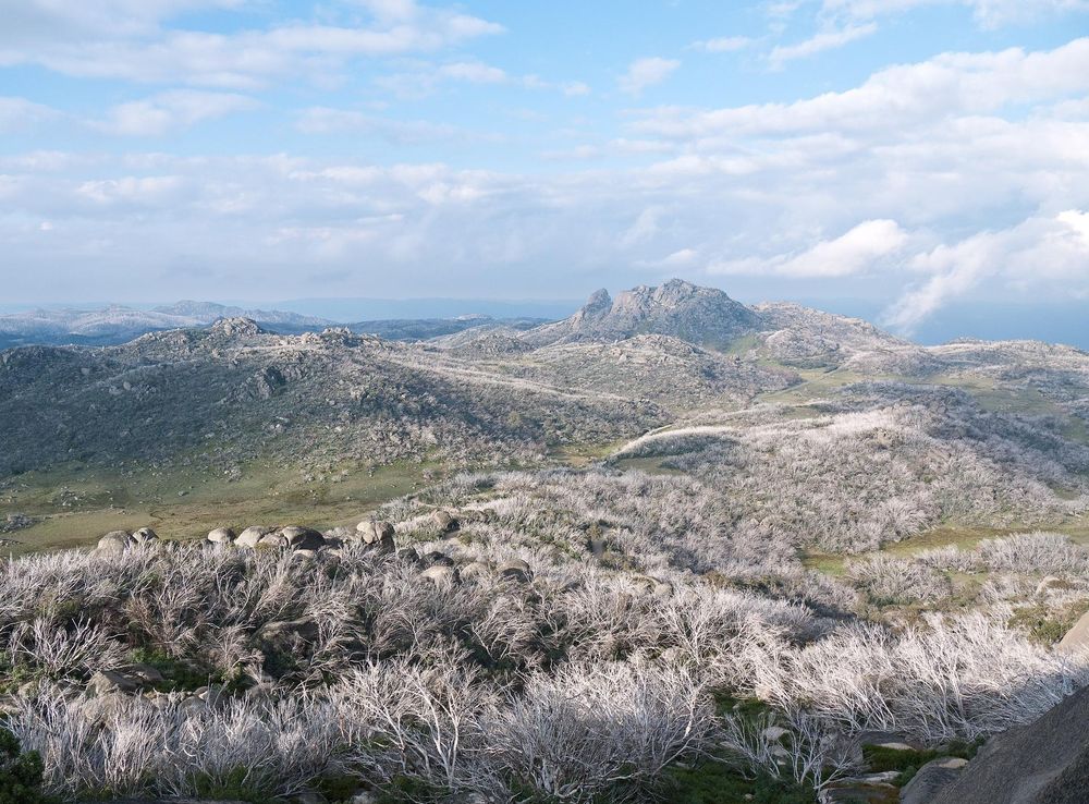 File:Mt buffalo plateau.jpg - Wikimedia Commons