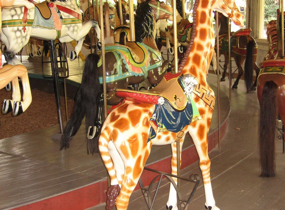 File:Carousel giraffe.jpg - Wikimedia Commons