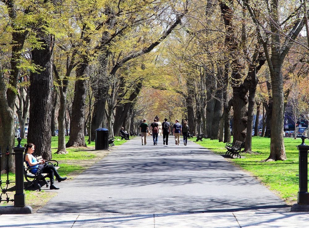 File:USA-Boston-Commonwealth Avenue Mall2.JPG - Wikimedia Commons