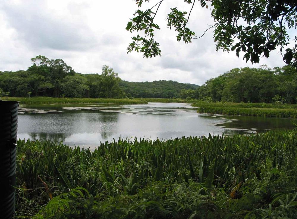 File:LakeNgardok.jpg - Wikimedia Commons