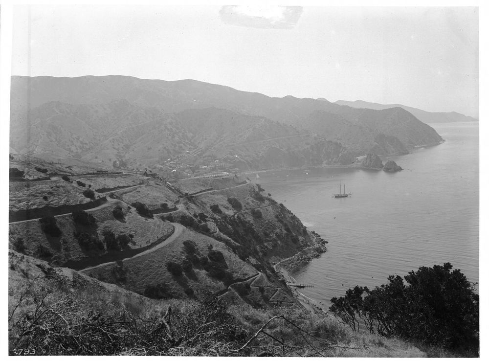 File:General view of Avalon taken from the south from Stage Road above Lover's  Cove, Santa Catalina Island (CHS-2793).jpg - Wikimedia Commons
