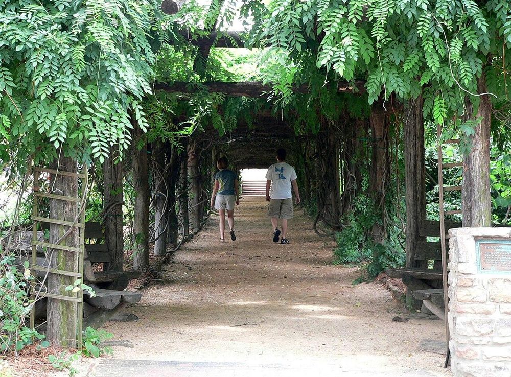 File:Coker Arboretum.jpg - Wikimedia Commons