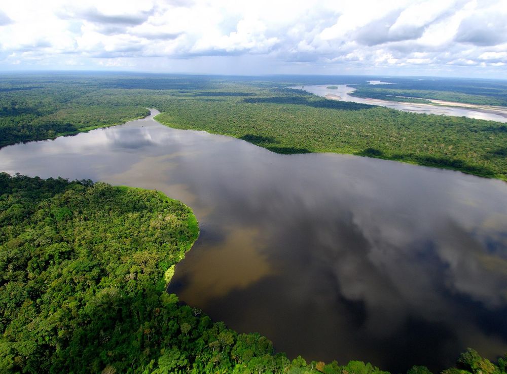 File:Amazonia ecuador.jpg - Wikimedia Commons