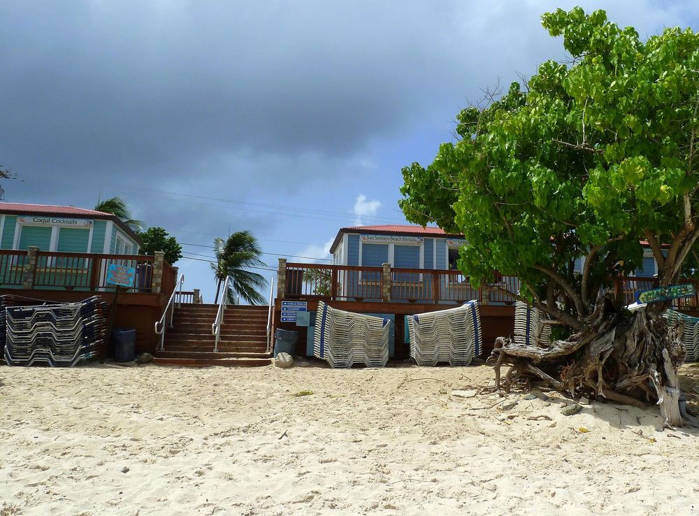 File:CokiBeachStThomasUSVI3.JPG - Wikimedia Commons