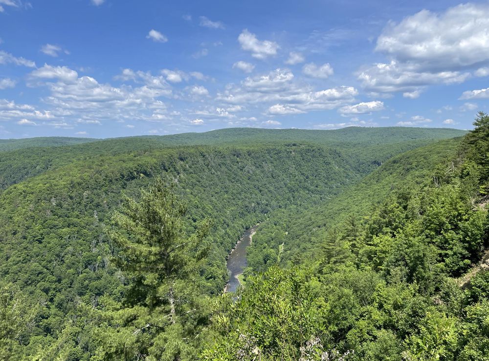 File:Pine Creek Gorge looking north from Leonard Harrison State Park July  2022.jpeg - Wikimedia Commons