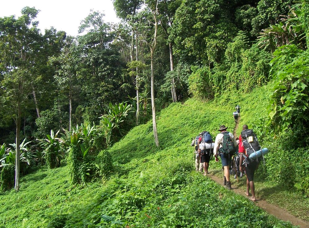File:Kokoda track Papua New Guinea.JPG - Wikimedia Commons