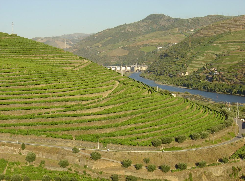 File:Régua Douro 4.JPG - Wikipedia