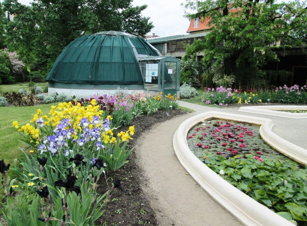 File:Botanical Garden Zagreb2.jpg - Wikimedia Commons