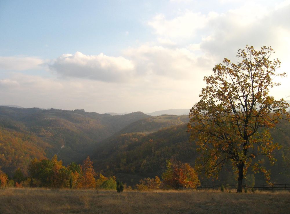 Датотека:Magleš - zapadna Srbija - kanjon reke Gradac - pogled prema izvoru  reke Gradac i dolini reke Zabava.jpg — Википедија