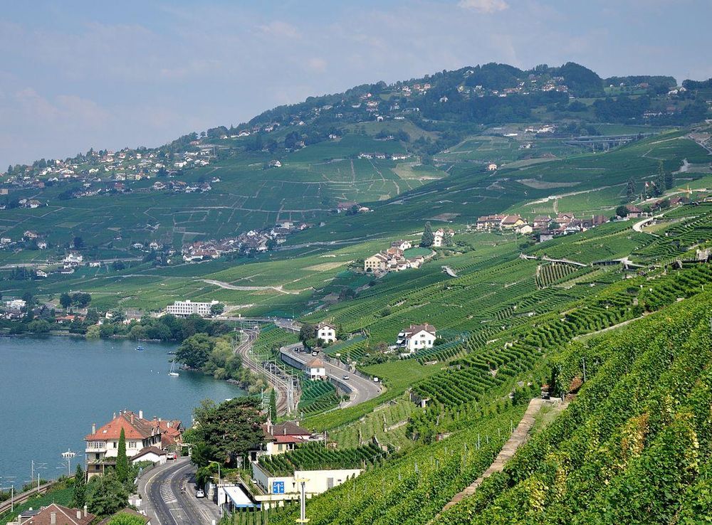 File:2012-08-12 10-42-36 Switzerland Canton de Vaud Chexbres.JPG -  Wikimedia Commons