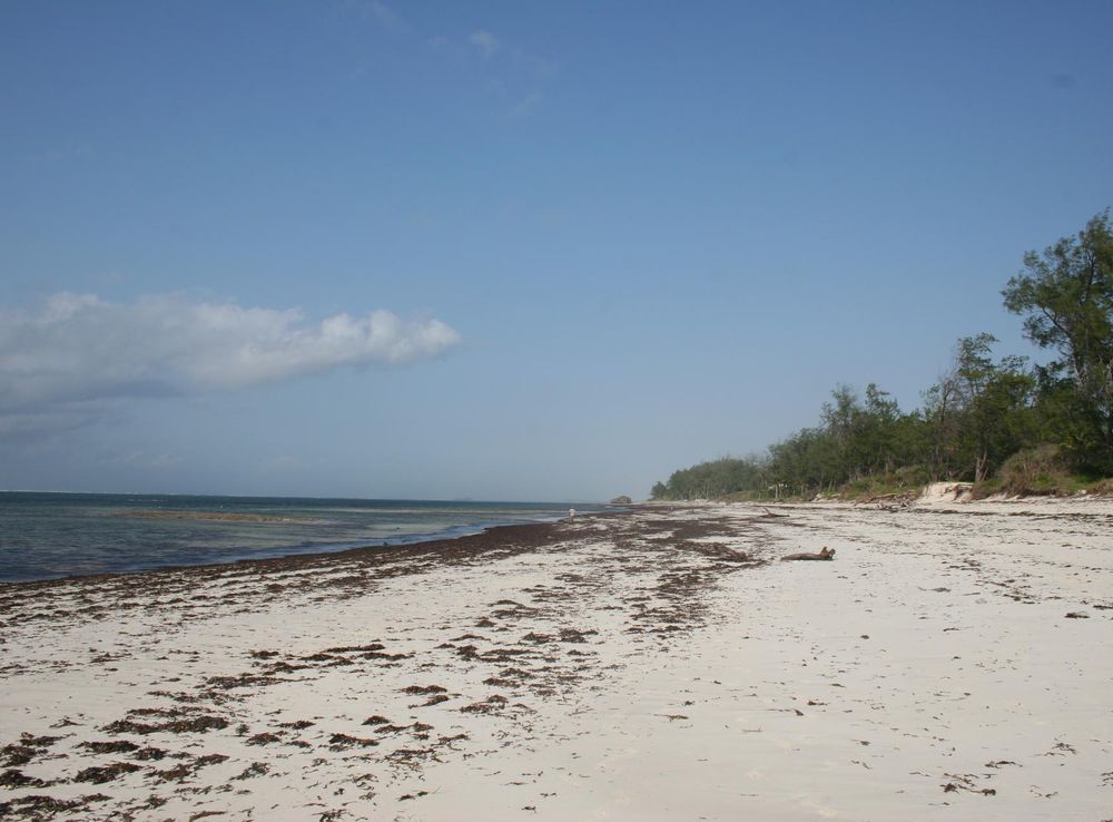 File:Watamu Beach, Kenya.JPG - Wikipedia