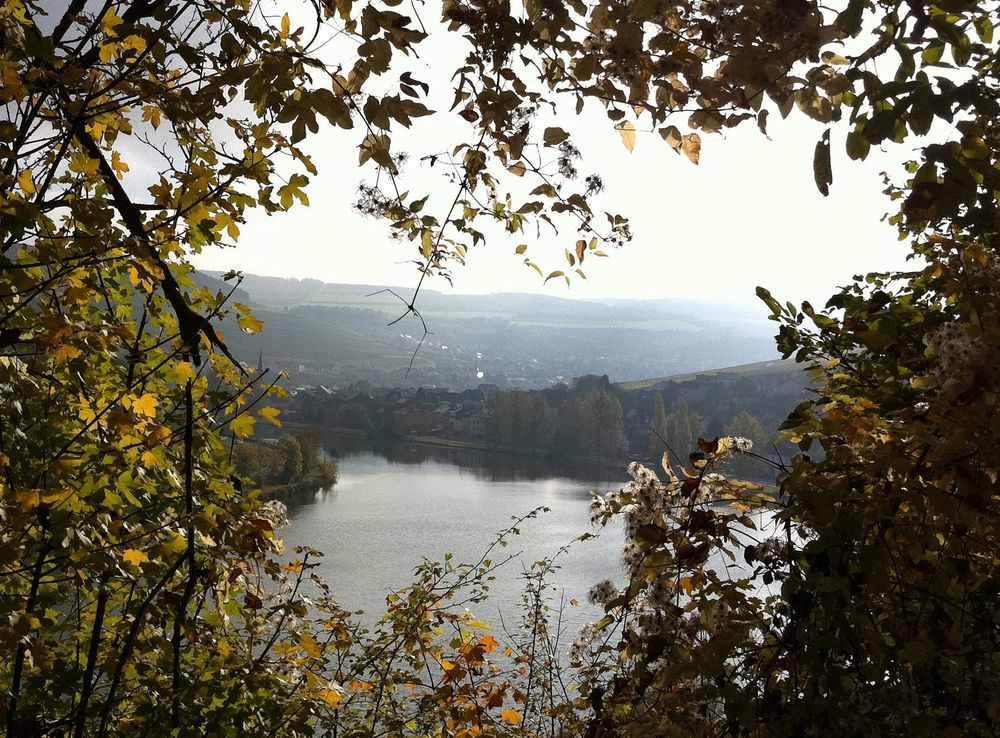 File:Moselle river in Machtum (3).jpg - Wikimedia Commons