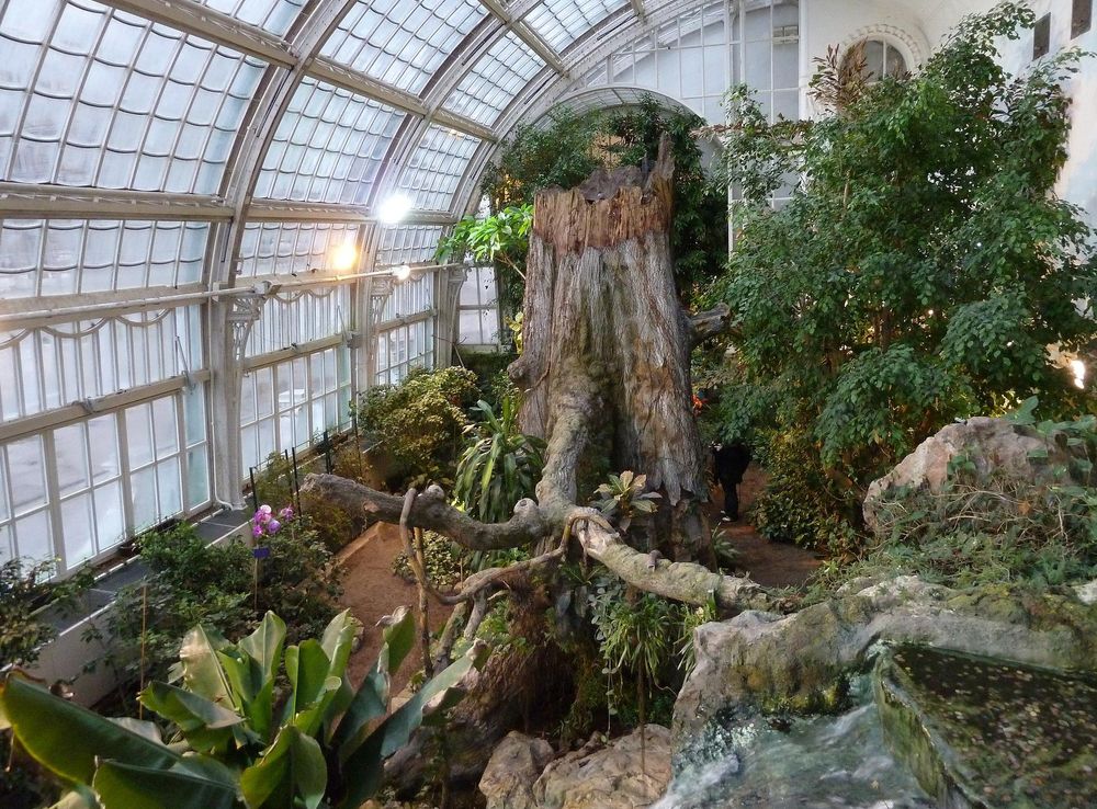 File:Butterfly House Interior, Hofburg Palace, Vienne P1210940.JPG -  Wikimedia Commons