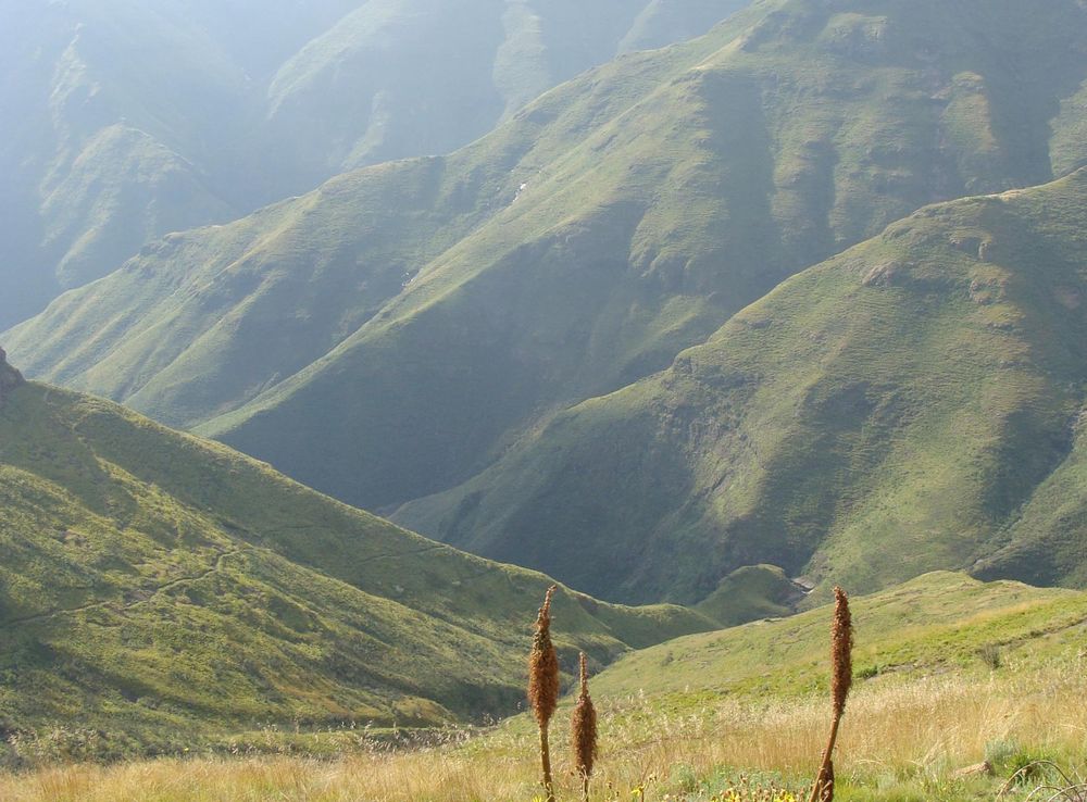 File:Ts'ehlanyane National Park.JPG - Wikipedia